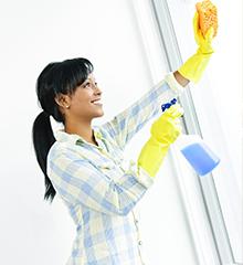 Aly Cleaning Services