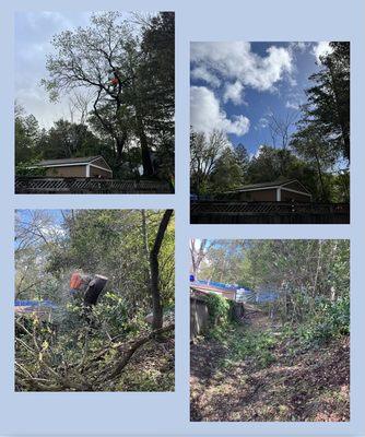 Navarrete Concrete Stump Grinding & Tree Service