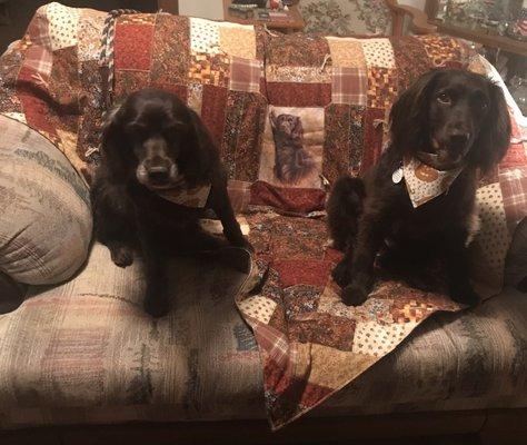 Bonnie & Clyde Grooming & Supplies