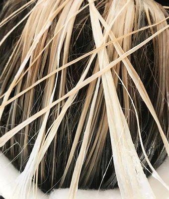 Parlour Texas by Katy Kinney Zebo