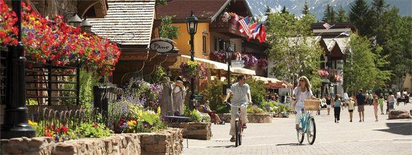 Universal Capital Wealth Management