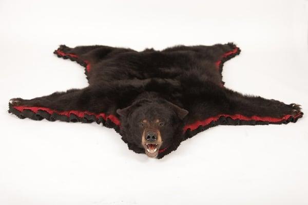 Artistic Taxidermy