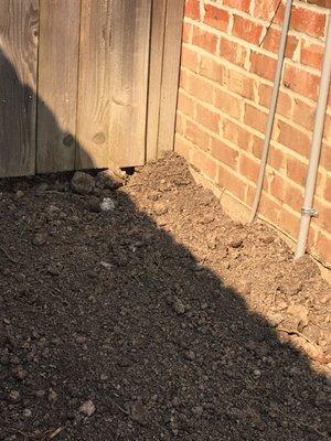 Lafayette Palms & Land Scaping