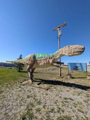 The Montana Dinosaur Center