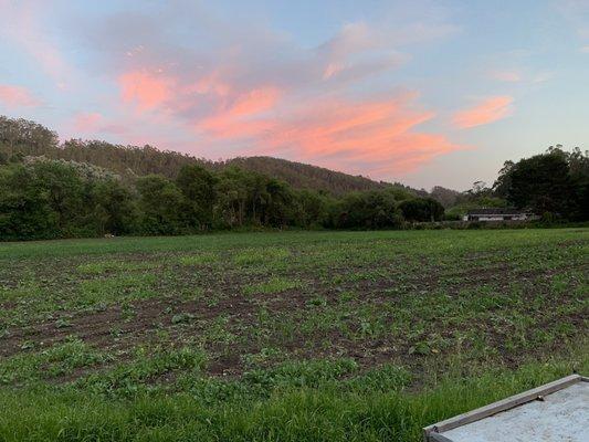 Jill's House Cleaning