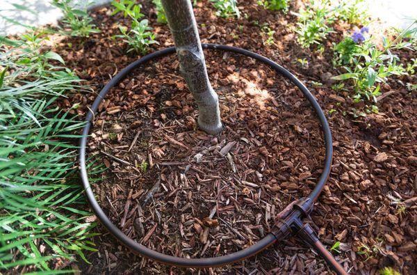 Drip Irrigation and Upgrades in Raleigh