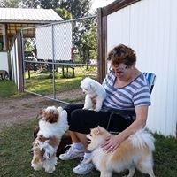 Dig It Boarding Fun Park