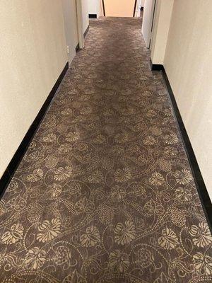 Filthy carpeting everywhere.