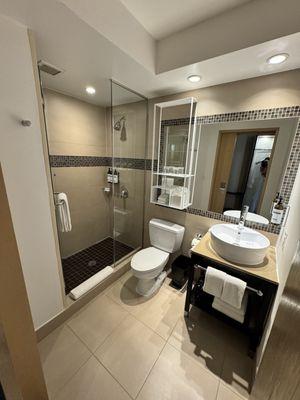 Hyatt Herald Square New York