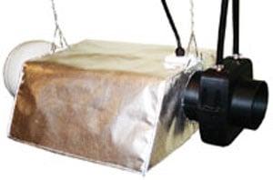 Best Grow Lights
