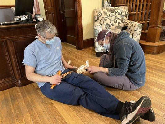 Moodus Veterinary Practice