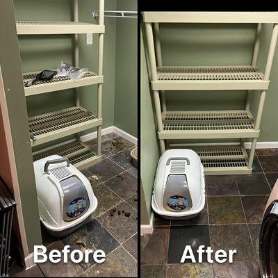 Go Cleaner Up & Moving