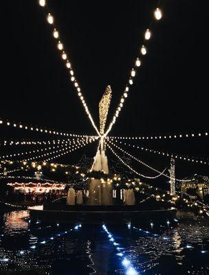 Shows every half hour starting at 4:30pm!