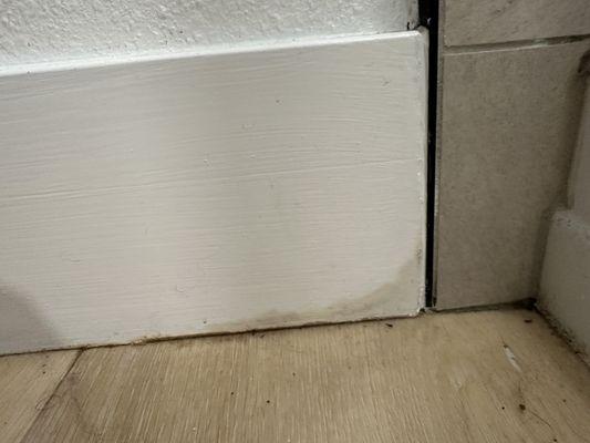 Veritas Property Inspection