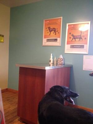 Shepherdsville Animal Hospital