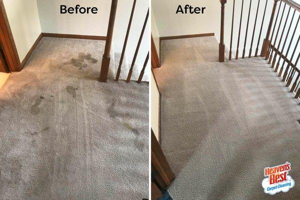 Heaven's Best Carpet Cleaning Monroe