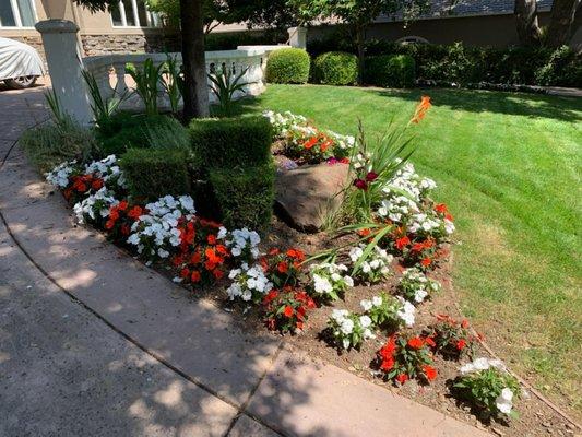 Santa Cruz Bay Yard Clean Ups And Tree Service