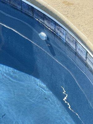 Caliber Pool & Spa Servicing