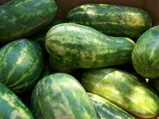 Chamberlain Produce & Garden Center