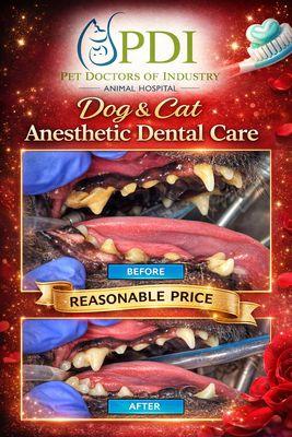 Pet Doctors Of Industry Animal Hospital