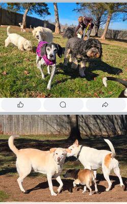 Facebook photos posted daily!