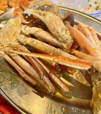 Snow Crab