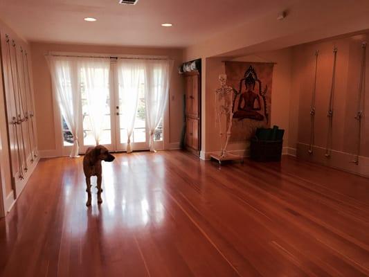 Cozy space, Iyengar props, Rope Walls. Come hang with us and HEAL!