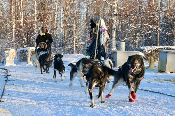 Alaska Mushing School