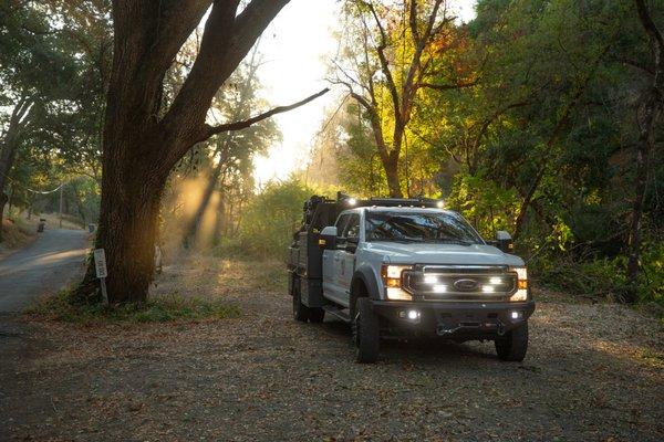 Signature Tree Solutions