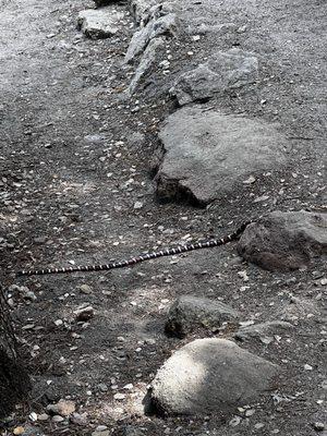 Ernie Maxwell Scenic Trail