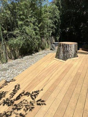 I asked them to leave the stump so that we can use it. Note the pristine deck and yard.