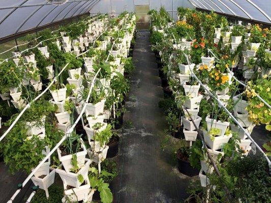 Our vertical, space saving growing system