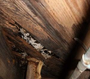 All In The Family Home Inspections