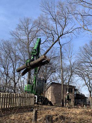 Great Plains Tree Care