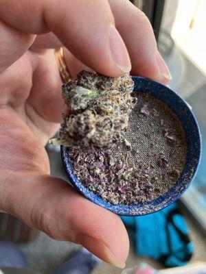 Reefer Madness Dispensary