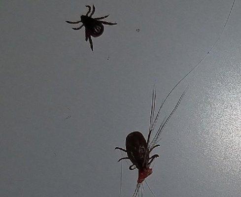 West USA Realty - Peoria