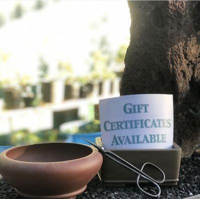 California Bonsai Studio