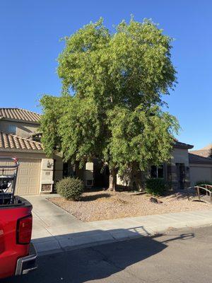 H And R Tree Service