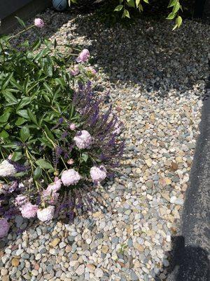Laid river rock in flower beds