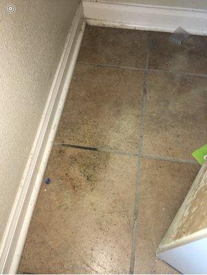 Franklin Point Apartments