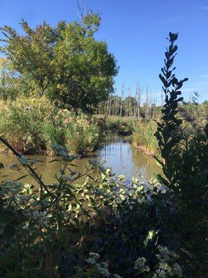 Ernest L Oros Wildlife Preserve