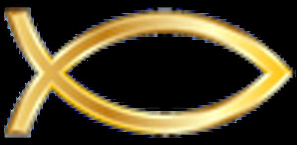 Weldon R Mackey & Associates