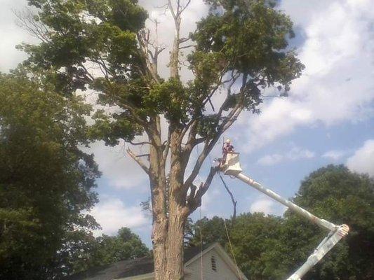 Cutting Edge Tree Service