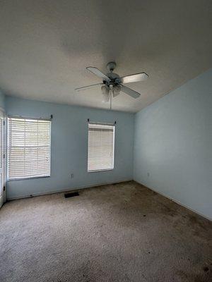 Shark Painting Services