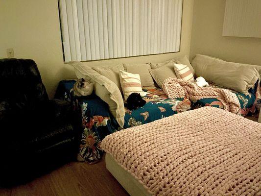 Windridge Apartments