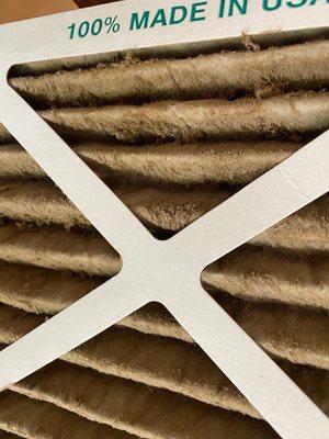 Sears Carpet Cleaning and Air Duct Cleaning