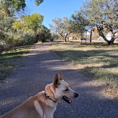 Heading back south to Soldier Creek park