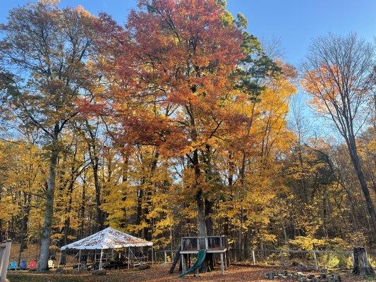 Montessori of New Paltz