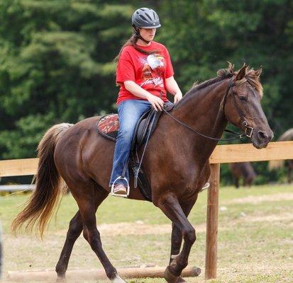 Dragonfly Inn and Stables