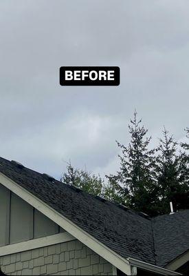 Best Roofing Services